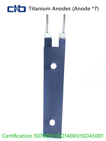 2025 New Titanium Anode Electrode Set for Fruit and Vegetable Sterilization, Customization 